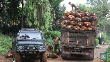 Tunjuk Pengacara, RI Siap Gugat Uni Eropa