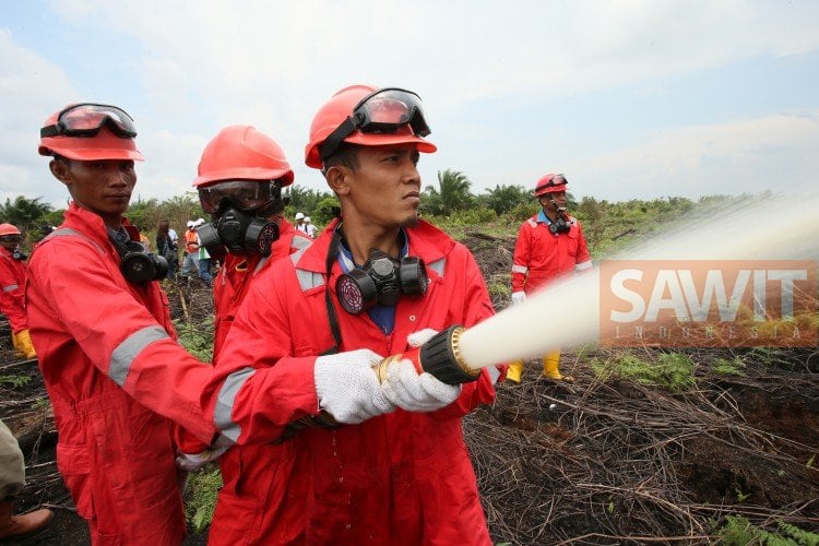 RSPO Gagal Antisipasi Karhutla di Indonesia