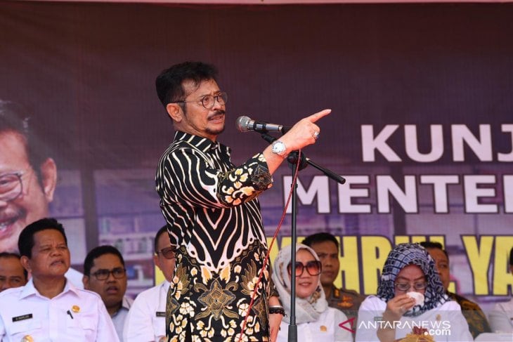 Mentan Syahrul Tanam Jagung di Areal Replanting Sawit Mamuju