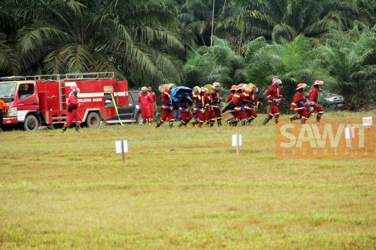 Lahan Produktif Minim Peluang Kebakaran
