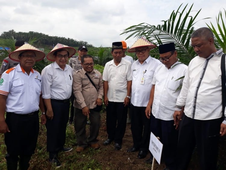 KUD Bangkit Usaha Makmur Dapat Bantuan Replanting Rp 21,5 Miliar