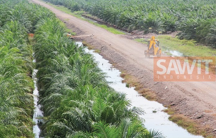 Karhutla Banyak Terjadi di Lahan Terlantar, Kenapa Sawit Yang Dituduh?
