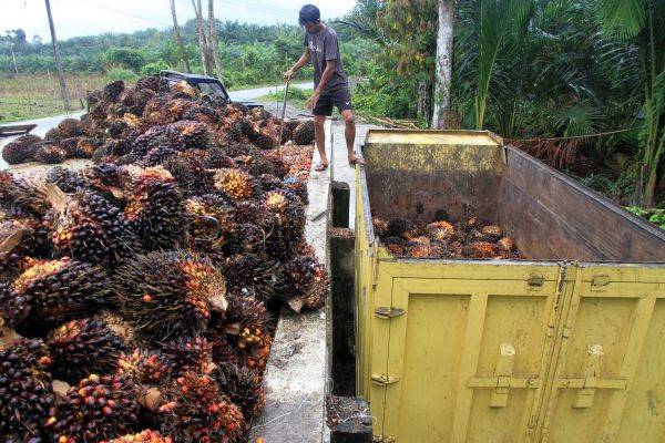 Indonesia Akhirnya Seret UE ke WTO