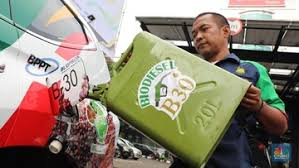 RI Kembangkan B30, Kurangi Emisi Karbon