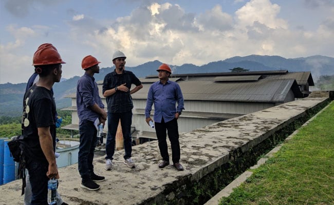 Industri Kelapa Sawit, Bisnis Menjanjikan untuk Anak Muda