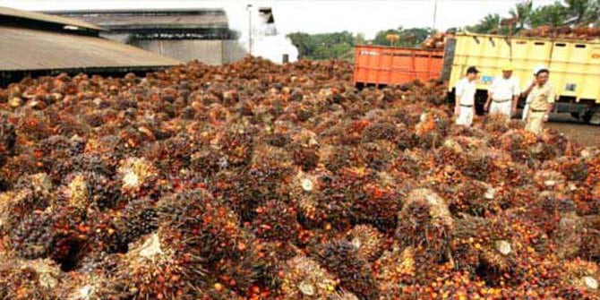 Jepang Ingin Impor Limbah Sawit dari RI
