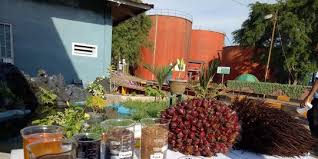 Indonesia Usul Bentuk Panel biofuel di WTO