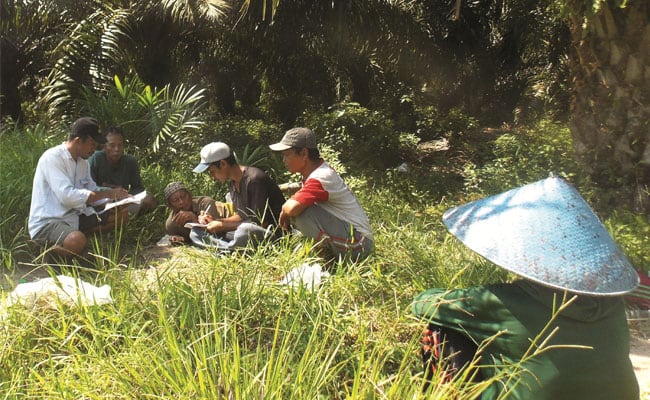 Petani Sawit Butuh Kepastian Regulasi dan Keberpihakan