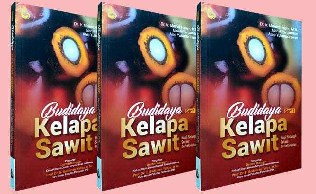 Budidaya Kelapa Sawit: Hasil Selangit Secara Berkelanjutan