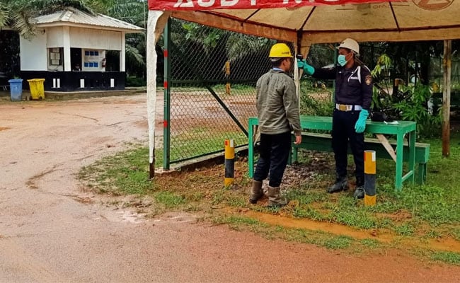 Cara Menghadapi Sidak PSBB di Perkebunan Kelapa Sawit
