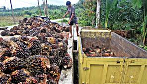 Lawan Covid-19, Industri Kelapa Sawit Kucurkan Bantuan