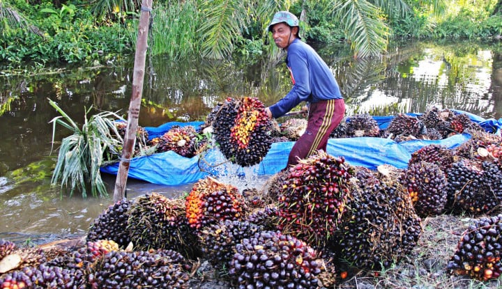 Industri Sawit Mampu Bertahan Saat Pandemi Covid-19