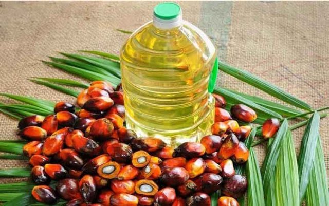 WHO Anjurkan Tak Konsumsi Minyak Sawit, Abaikan Manfaat untuk Kesehatan