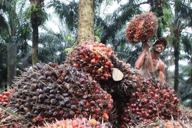 Indonesia Siap ke Panel WTO Lawan Uni Eropa