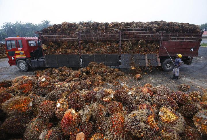 WASPADAI PENURUNAN KONSUMSI CPO
