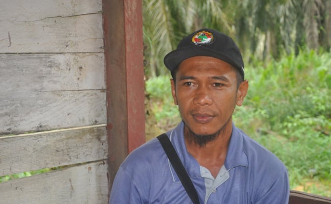 Bertekad Melanjutkan Usaha Berkebun Kelapa Sawit