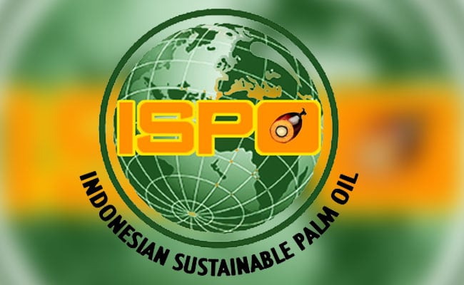 Sertifikasi Minyak Sawit Berkelanjutan ISPO Petani Perlu Ada Skim Insentif