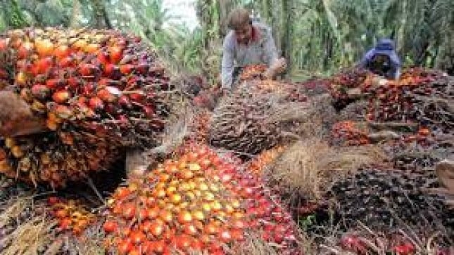 Musi Banyuasin Dorong Hilirisasi Komoditas Strategis
