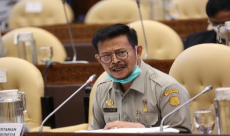 SYL: Sektor Pertanian Jadi Kekuatan Ekonomi RI