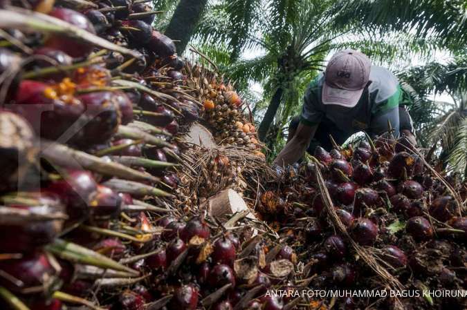 GIMNI pastikan blokir AS pada impor sawit perusahaan Malaysia tak berkepanjangan
