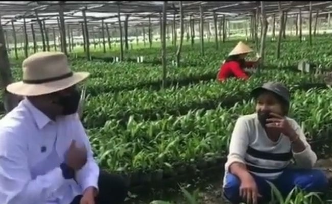 Sawit Mengangkat Ekonomi Dikala Pandemi