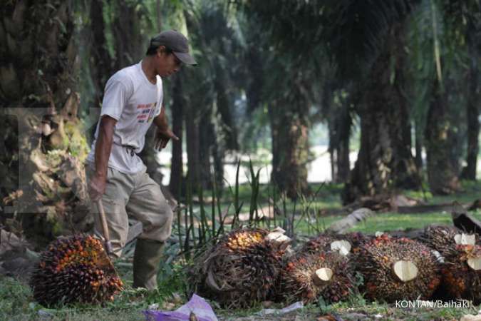 Agar mencapai keberlanjutan, petani kelapa sawit dodorong untuk bermitra