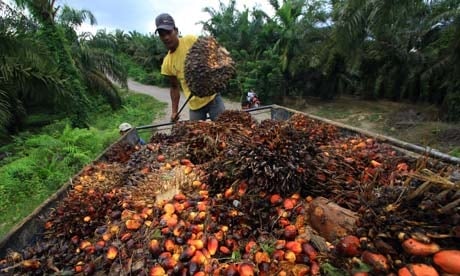 Kementan Terbitkan Rekomendasi Peremajaan Sawit Petani Mukomuko