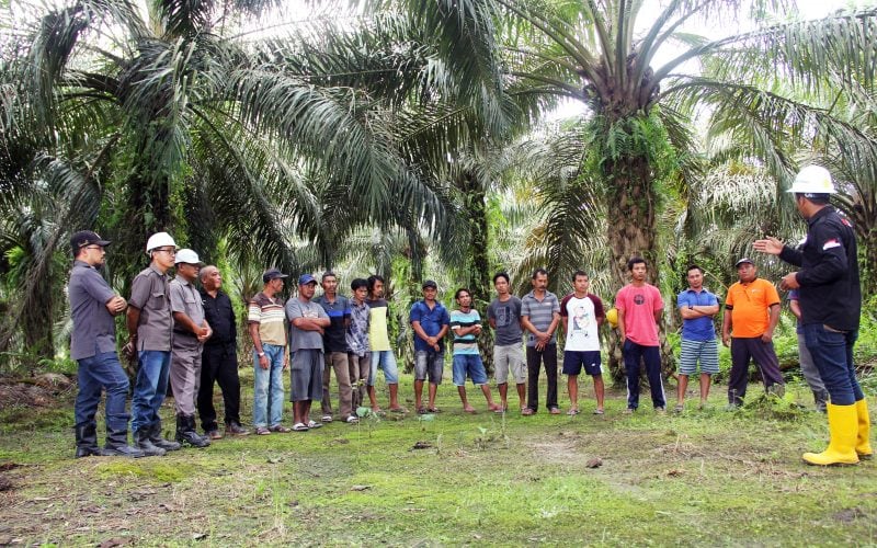 Sudarsono Soedomo, Ph.D, Dosen IPB University Program Perhutanan Sosial KLHK Diskriminatif