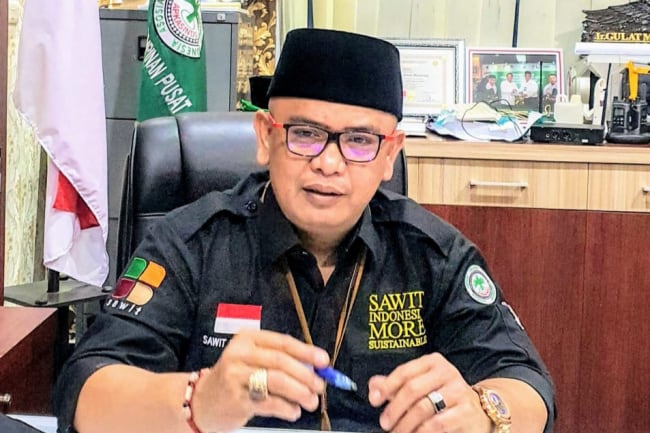 Asosiasi: Sawit Indonesia Seksi, Banyak Yang Iri
