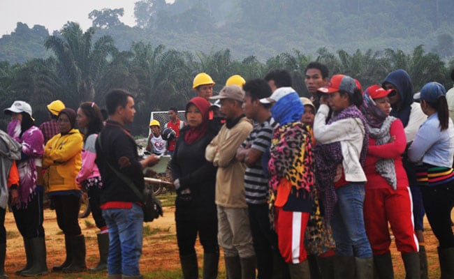 Upaya Pemerintah Lindungi Perempuan di Sektor Sawit