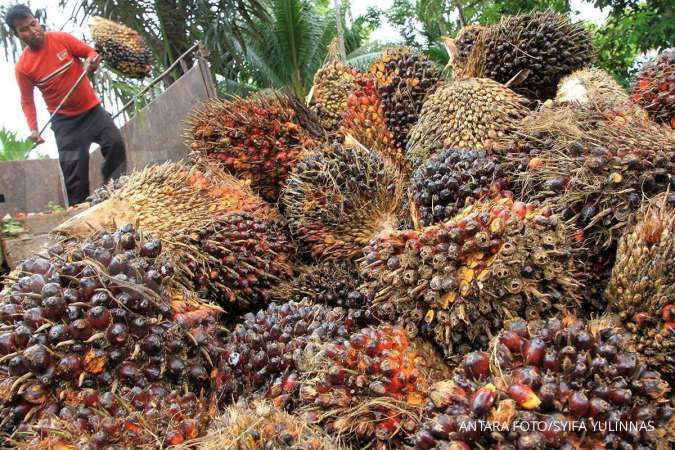 GIMNI proyeksikan produksi CPO tumbuh 3% pada tahun 2021