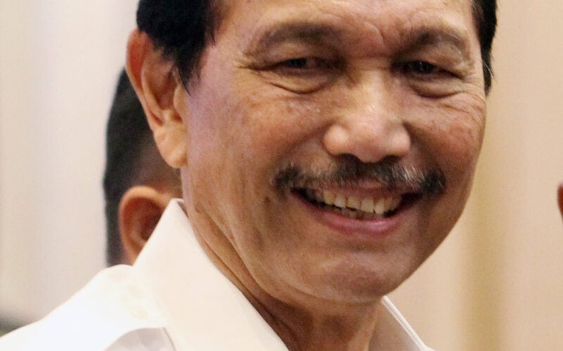 Pemerintah Andalkan Sawit