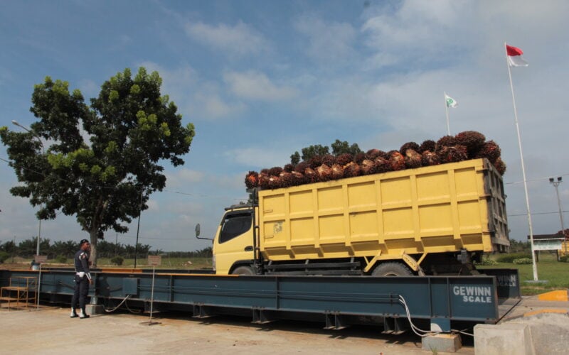 Waspada Harga Sawit Tinggi