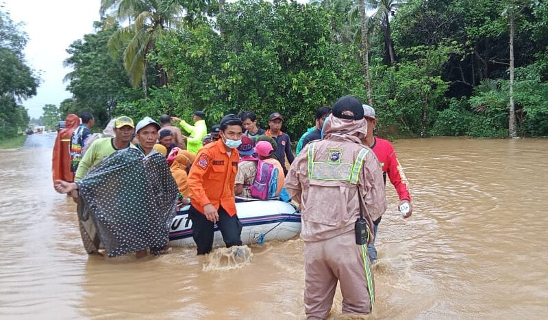 Akademisi Unlam: Sawit Bukan Pemicu Banjir Kalsel