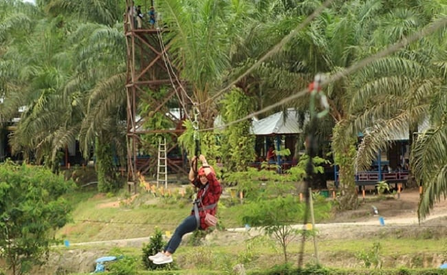 Pekebun Sawit Swadaya, Bangun Destinasi Wisata di Tengah Perkebunan