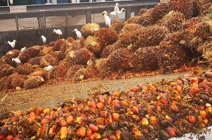 Pemerintah Memompa Penggunaan Green Fuel