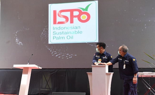 Juknis Praktik Sawit Berkelanjutan ISPO Terbit, Diharap Sertifikasi Melaju Kencang