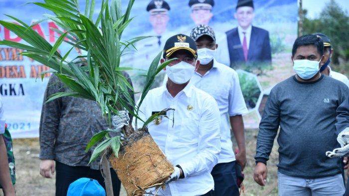 Harga Sawit Melambung, Program PSR Desa Air Buluh 63,98 Hektar dari Dana Hibah Rp 1,9 Miliar