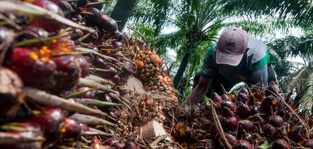 SUNTIKAN TENAGA MUNCUL DARI SWISS