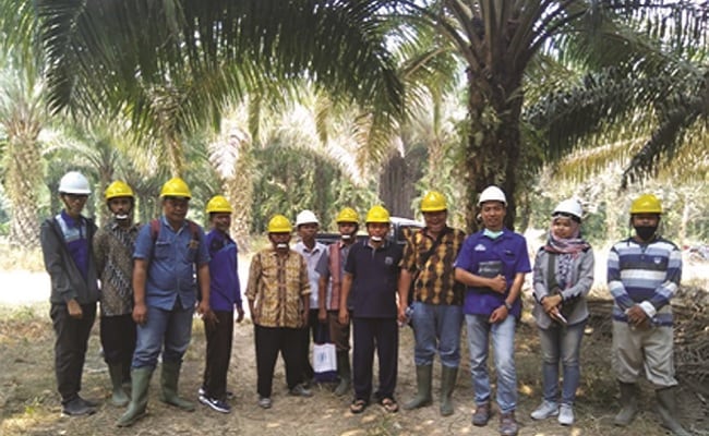 Berikut Manfaat Sertifkasi Sawit Berkelanjutan Bagi Petani Anggota
