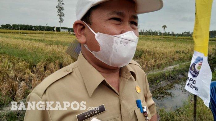 Naik 15 Rupiah, Harga TBS Kelapa Sawit di Bangka Belitung Ditentukan Begini