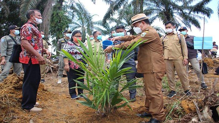 Wabup Sanggau Hadiri Tanam Perdana Tanaman Kelapa Sawit Program PSR di Desa Harapan Makmur