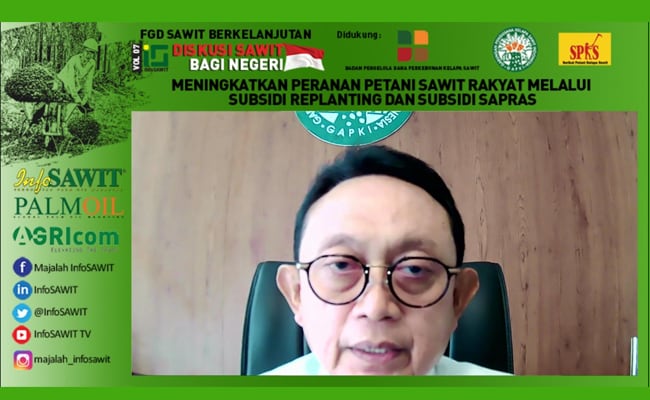 GAPKI Dukung Program Peremajaan Sawit Rakyat Lewat 4 Bentuk Kemitraan