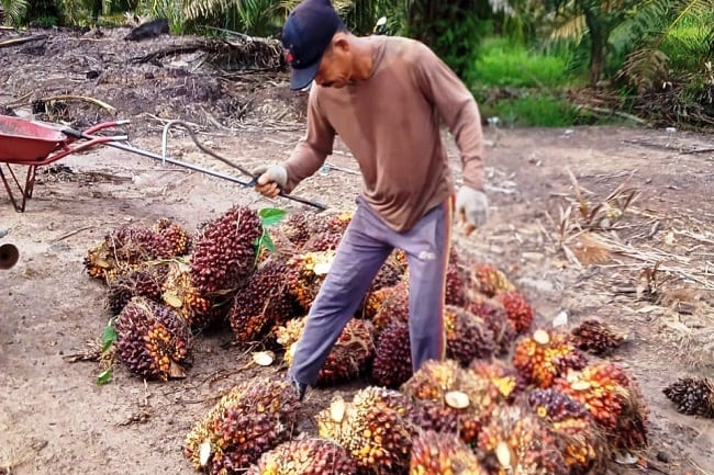 Biar PSR Moncer, MBI Sarankan Ini