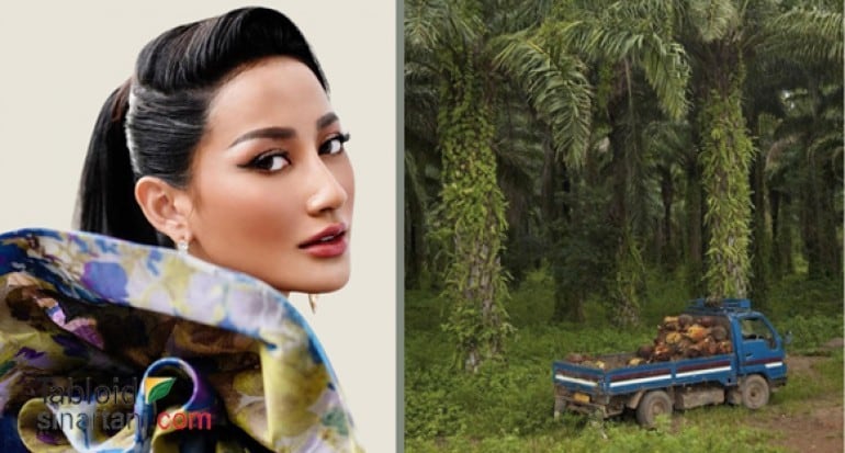 Aman untuk Kosmetik, Lemak Kelapa Sawit Tak Kalah dengan Air Susu Ibu