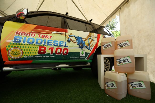 Energi Terbarukan Itu Market Petani, Bukan Industri!