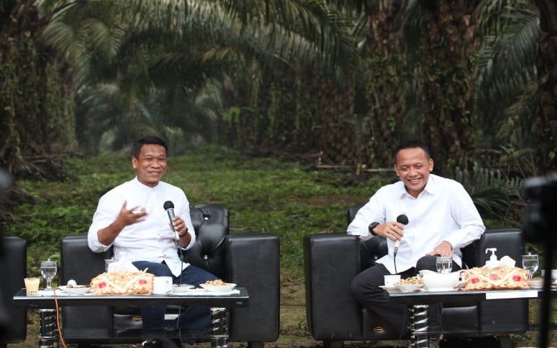 PTPN V Sukses Bangun Kebun dengan Produktivitas Sawit Muda Tertinggi di Indonesia