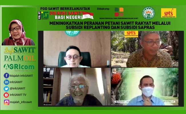 Replanting Jadi Upaya Dongkrak Kinerja Kebun Petani Sawit