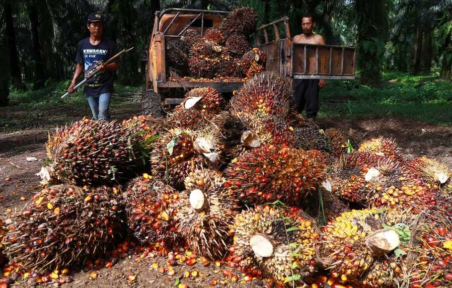 Tahun 2045 Indonesia Jadi Raja Hilir Sawit