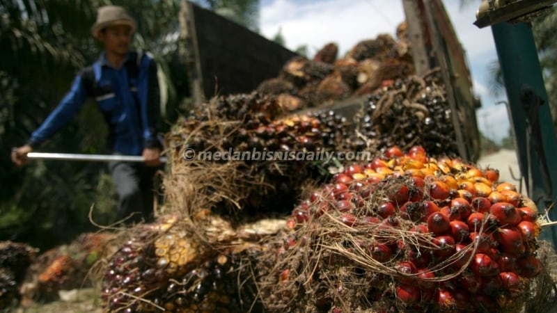 Program B30 Diharapkan Dorong Target Bauran Energi Indonesia
